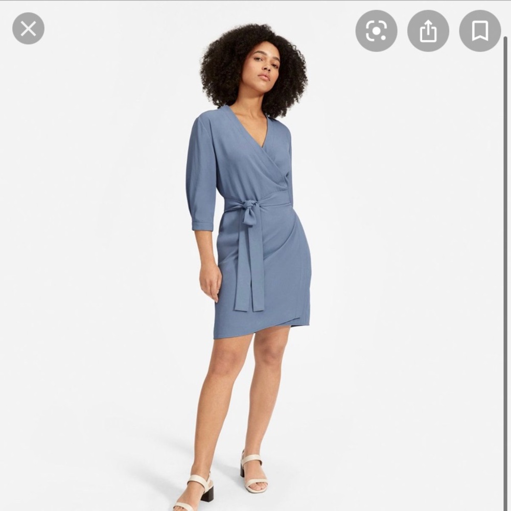 EUC everlane goweave wrap dress size 10
